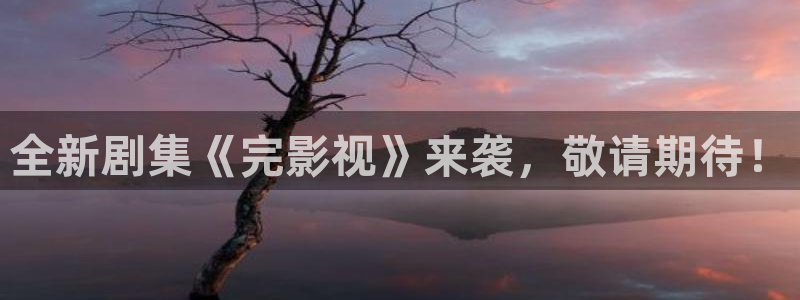 神马达达兔午夜在线观看