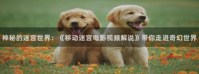 大地影院在线观看免费高清完整版电视剧神马