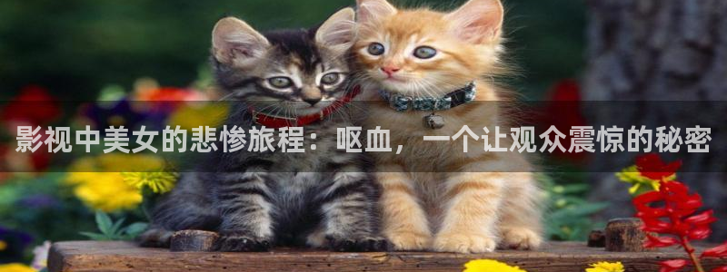 神马电影午夜久久