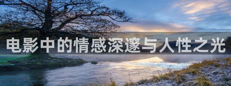神马年度电影免费看