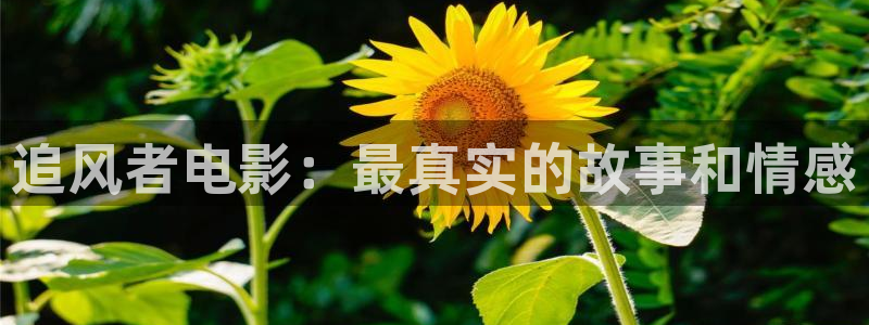 神马影院影院