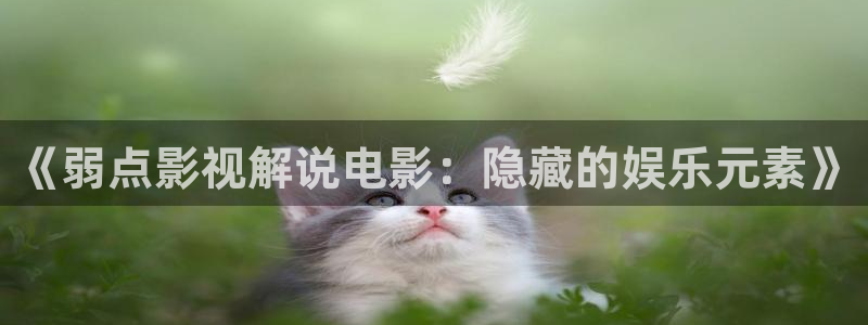 真心神马电影网