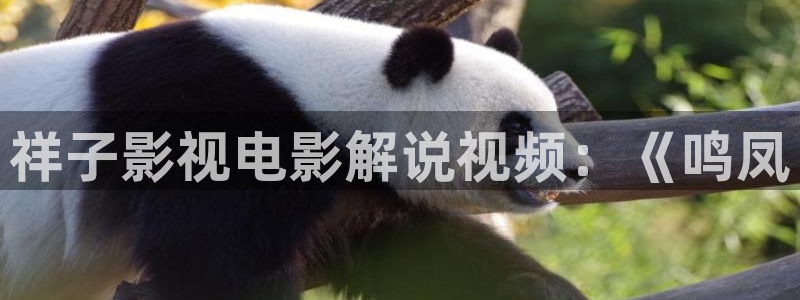 无敌神马伦理