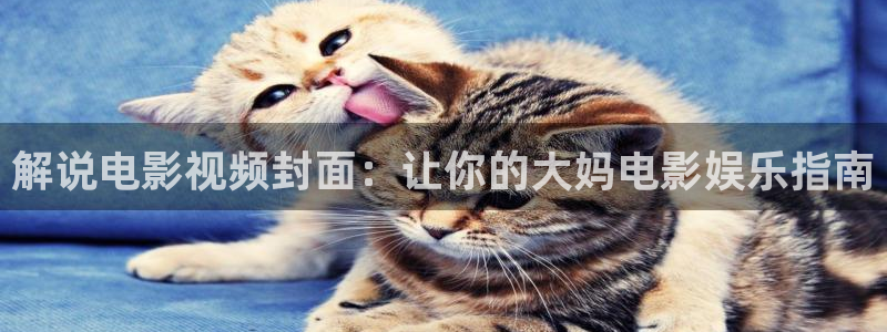 神马不卡午夜影院