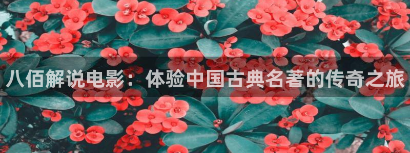神马电影伦理日本