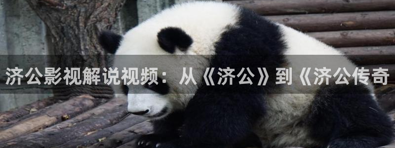 神马影院我不卡伦理
