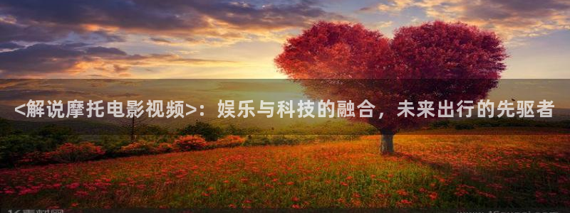 神马电影达达兔伦理片
