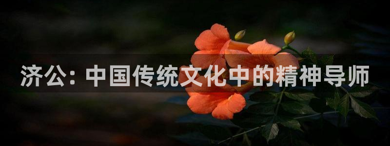 41312神马影院