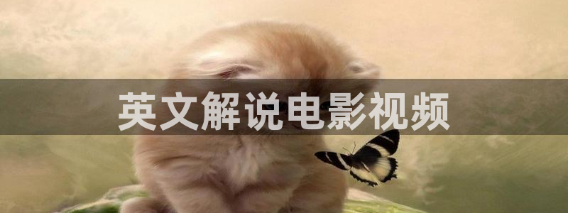 神马伦理手机在线观看