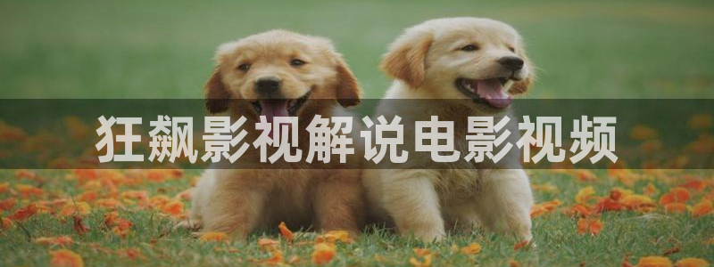 神马影院推理片