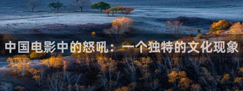最新神马电影网