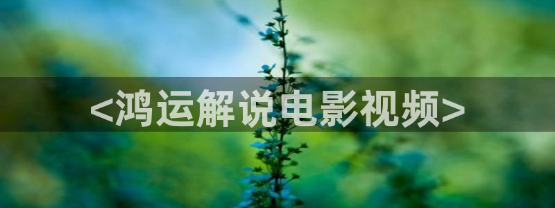 神马韩国伦理电影