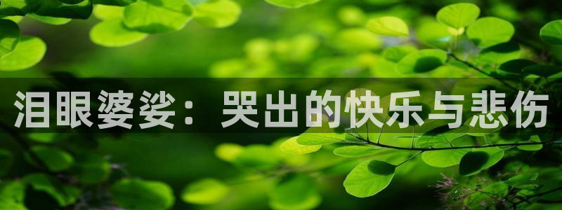 神马我不卡手机视频