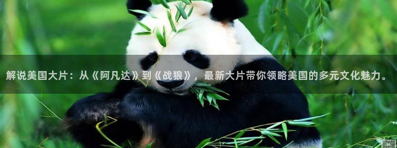 玉女心经神马影院