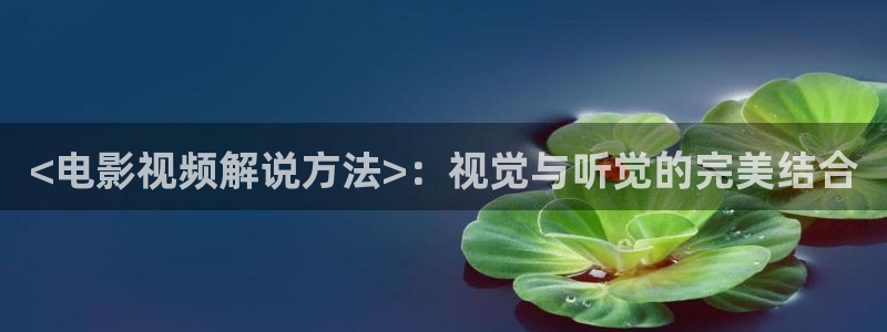神马手机在线观看