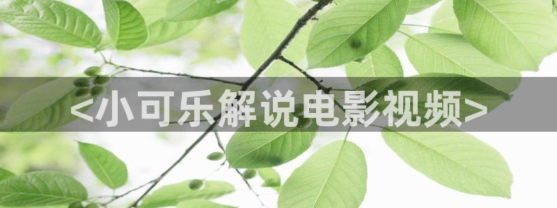 神马a级片