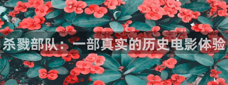 神马六度电影网