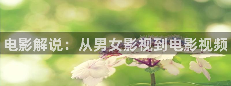 美景之屋2神马影院