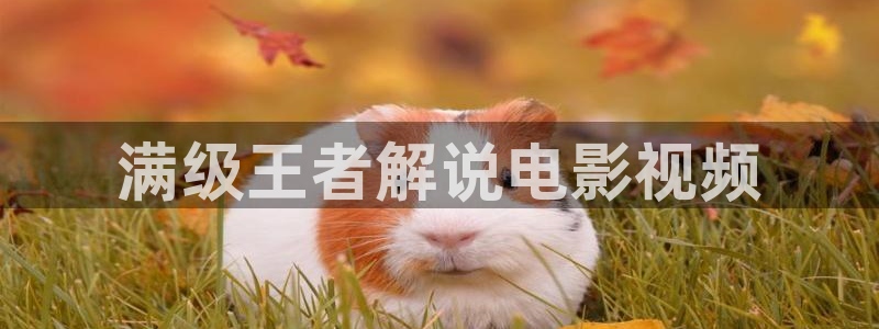 神马影院午夜不限制