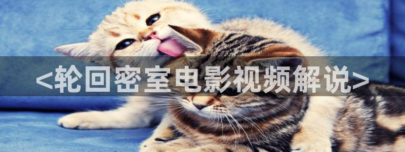 神马影院 老子