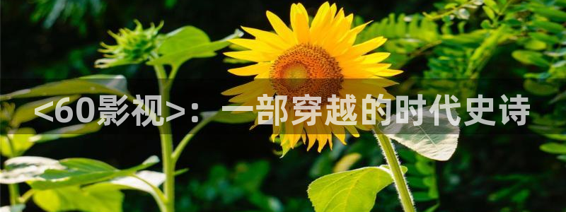 神马伦理影片