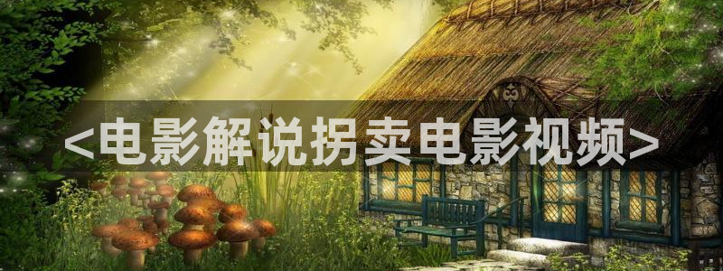神马电影特片我不卡