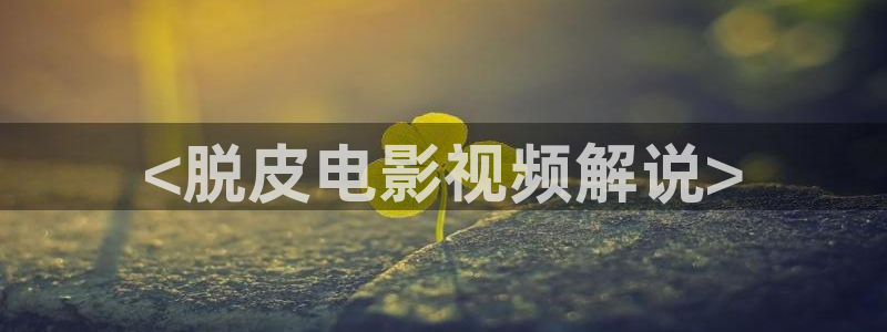 伦理片在线看神马