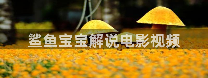 我不卡神马影院手机