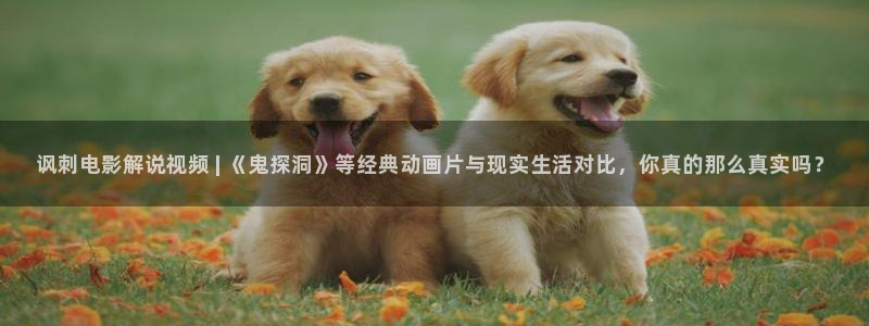 封神榜之武王伐纣神马影院
