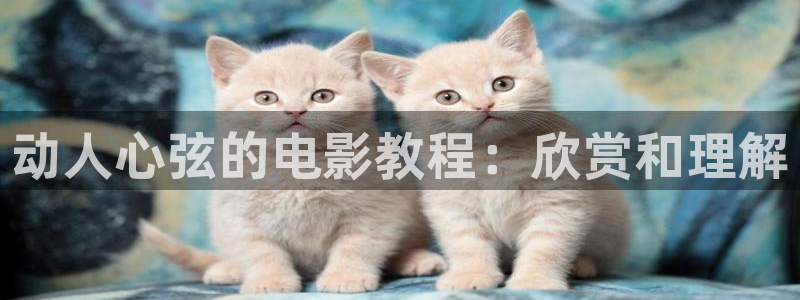原来神马电影网电影在线看