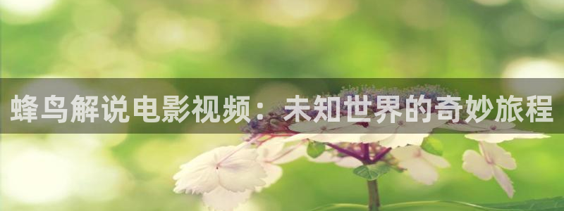神马 电影