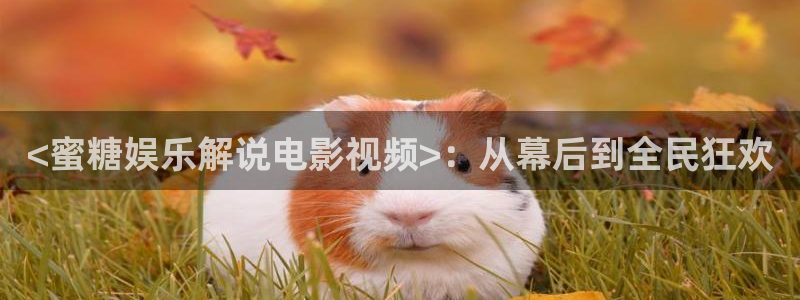 手机看片神马