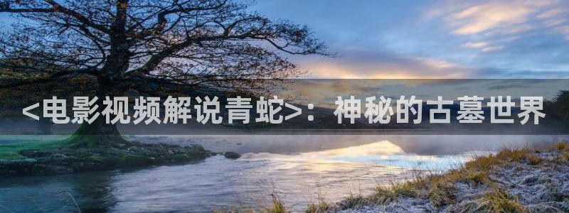 神马影视在线网