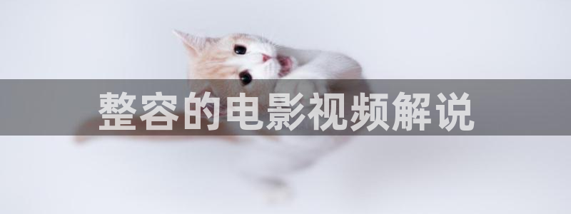 41312神马电影