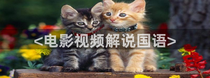 神马影院楚汉传奇