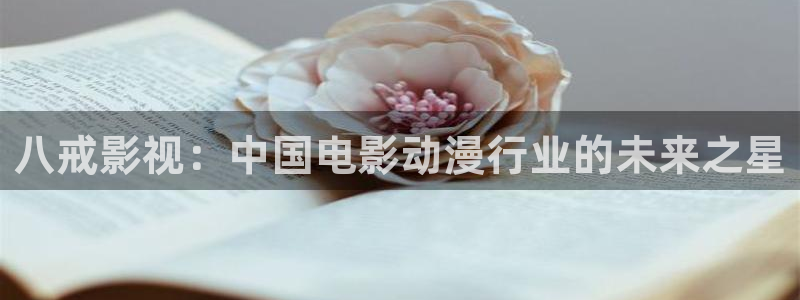 美景之屋 神马电影