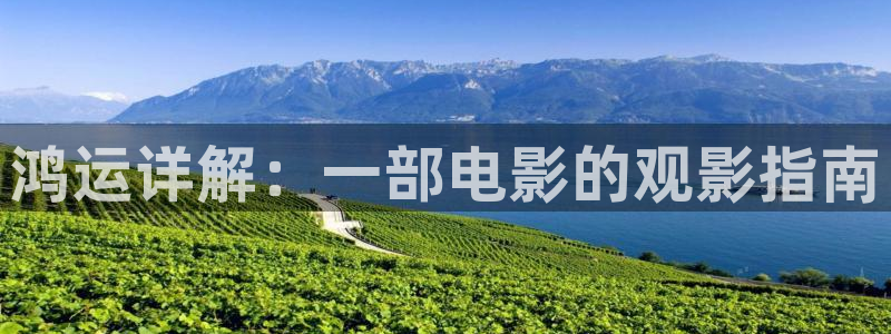 神马影院最新网址