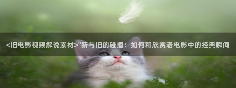 神马国产电影网