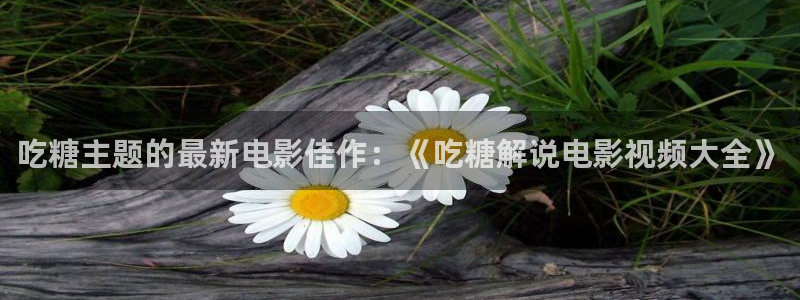 神马影院电视剧免费看全剧