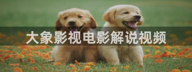 神马手机电影网