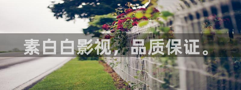 原来神马影院理论片在线观看