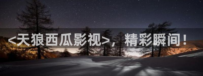 久久久久神马影院