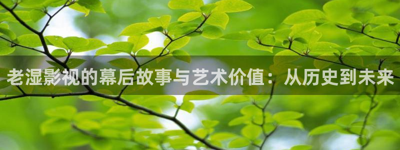 神马在线电影不卡